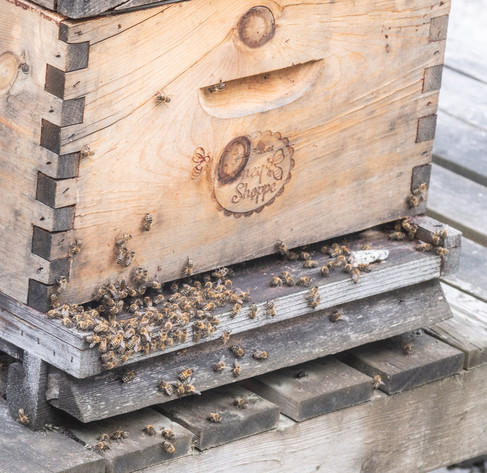 A wooden beehive with many bees crawling around the base by the opening.