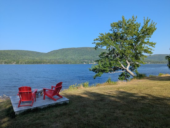 Two red Muskoka chairs and a tree lean over the waters of a lake, with treed hills on the other side.