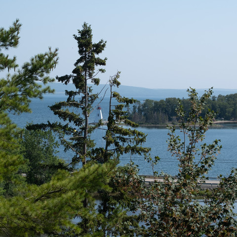 Looking through evergreen trees at a distant white lighthouse.