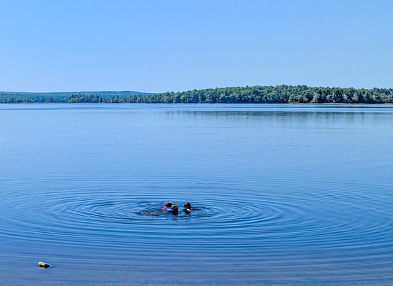 On a very calm lake, a cluster of kids horsing around make circular ripples. In the background, forested lands and a blue sky.
