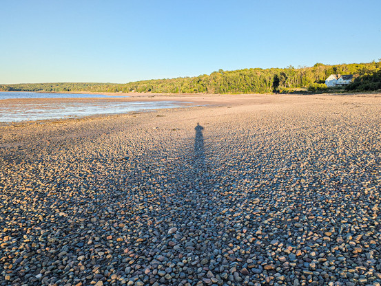 A wide expanse of waterfront exposed by low tide, the sun is low and casts my shadow across the rocky surface.