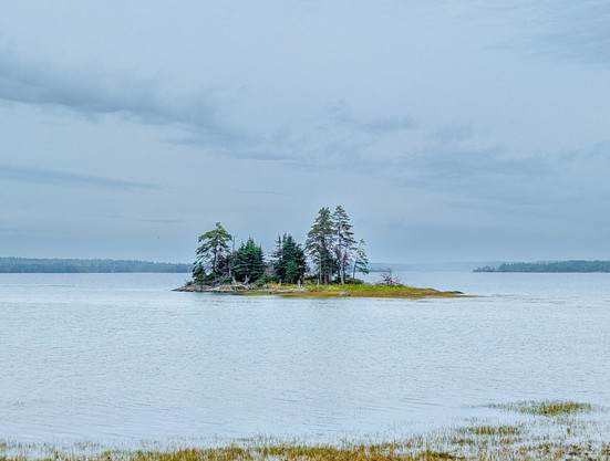 A small island with just a few trees is surrounded by a quiet inlet of the ocean under a grey sky.