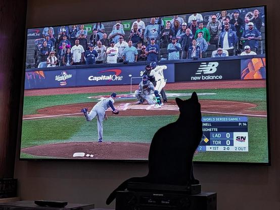 Black cat watching the 2025 World Series, Game 1, Dodgers at Blue Jays.